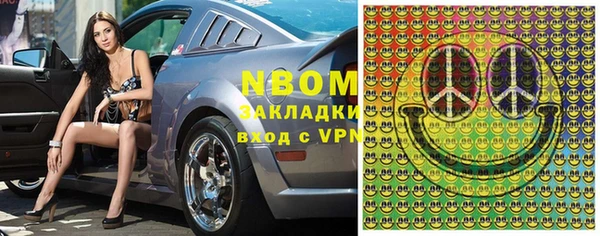 стаф Аркадак