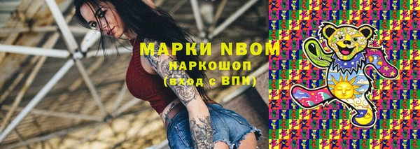 стаф Аркадак