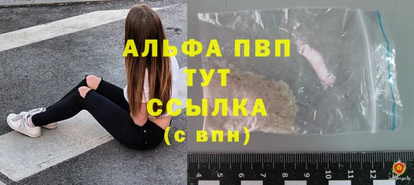 стаф Аркадак