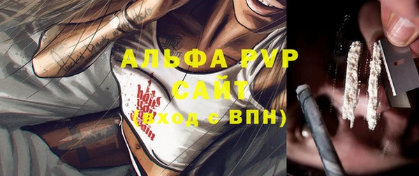 стаф Аркадак