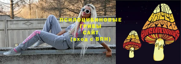 прущая мука Армянск