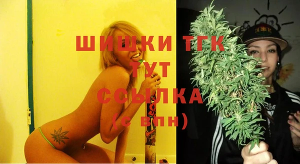 стаф Аркадак