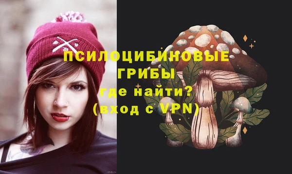 стаф Аркадак