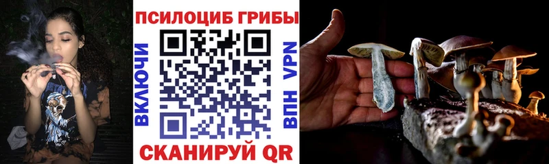 Псилоцибиновые грибы MAGIC MUSHROOMS  где купить наркотик  Сольцы 