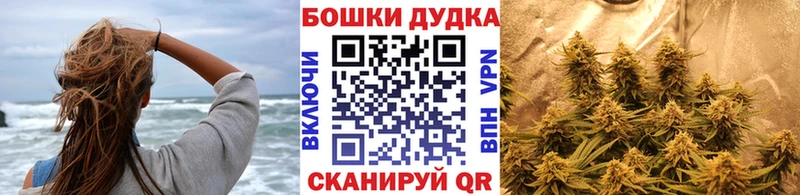 где продают наркотики  Сольцы  МАРИХУАНА ГИДРОПОН 